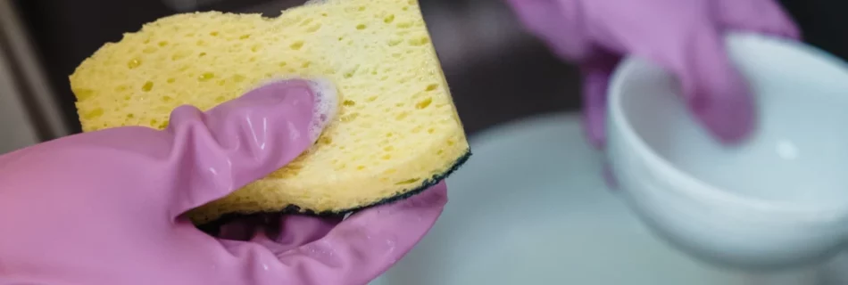 Washing dishes creates grey water that may be bad for plants